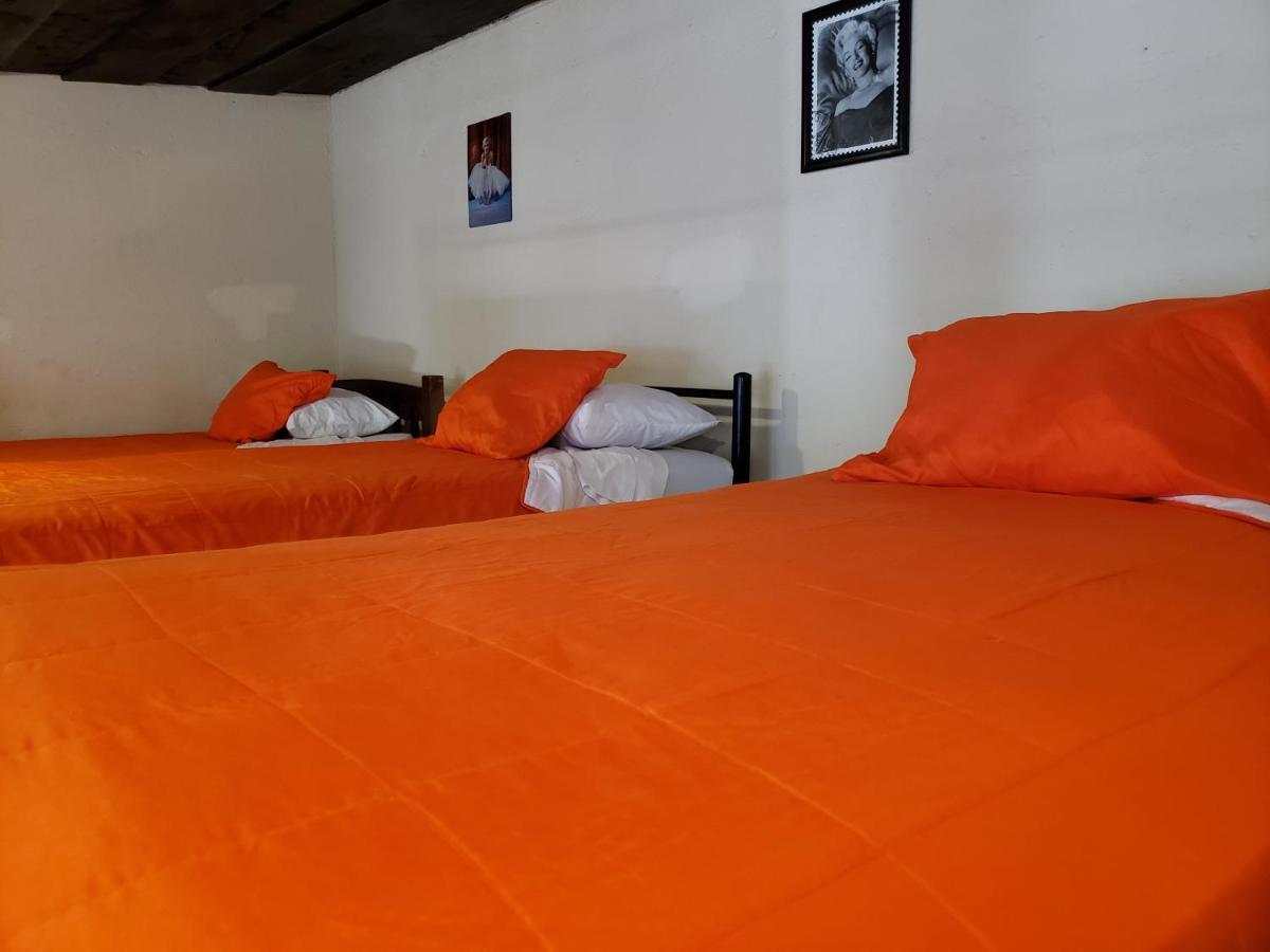 Parrot House Bed & Breakfast Antigua Exterior photo