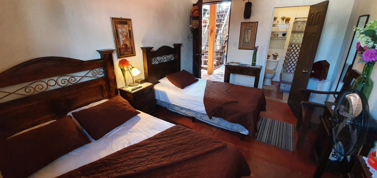 Parrot House Bed & Breakfast Antigua Exterior photo